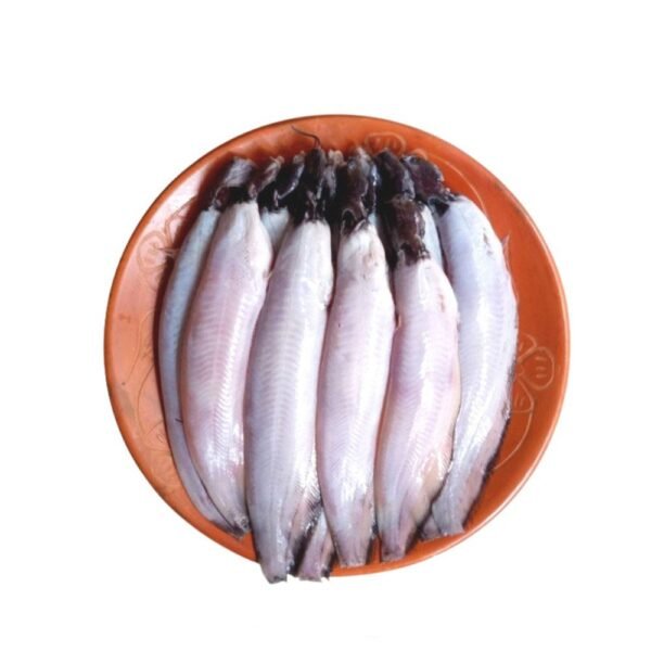 SHING FISH CLEANED 500g / BD産 シング