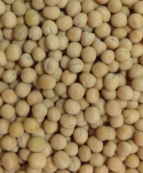 WHITE PEAS BIG 1KG