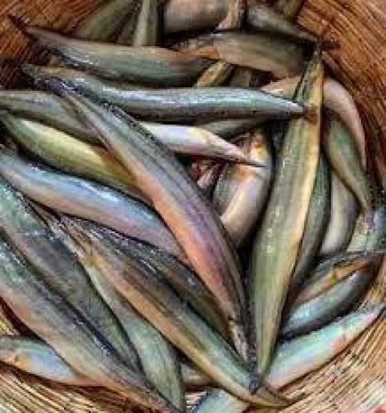 STAR BAIM/LONG BAIM 500g