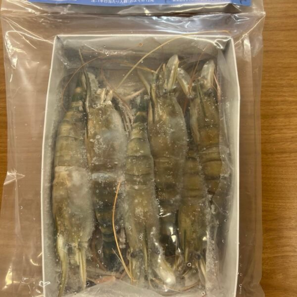 SHRIMP 8-12 BD 500g(4-6p)